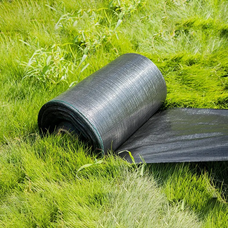 Alfombra de césped artificial Mats paño para piso de la pared verde de semillas en el papel de plástico Anti-Grass Boj Revertir Gimnasio de caucho Suelo