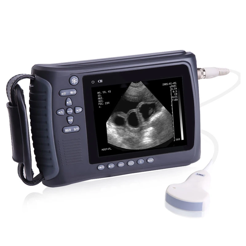 Portable Veterinary B-Mode Handheld B/W Ultrasound Scanner for Wholesale/Suppliers