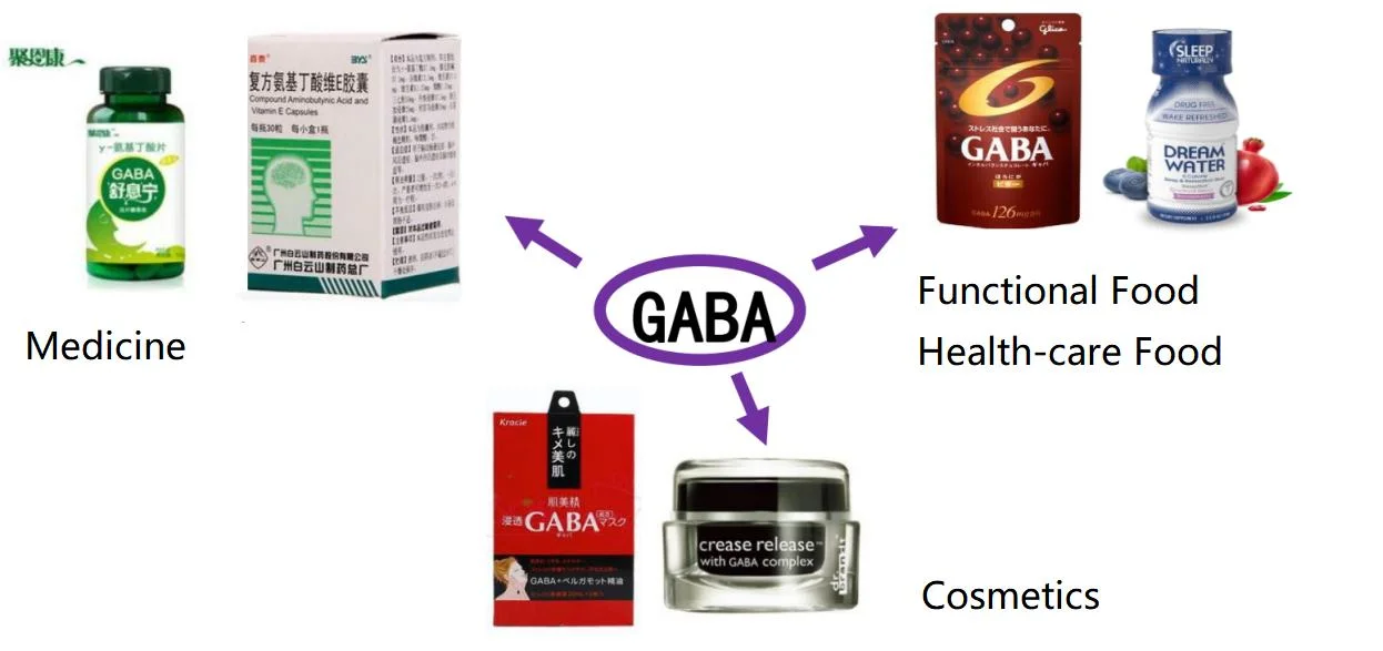 Functional Food Ingredient GABA (Gamma-Aminobutyric) for Promoting Sleep