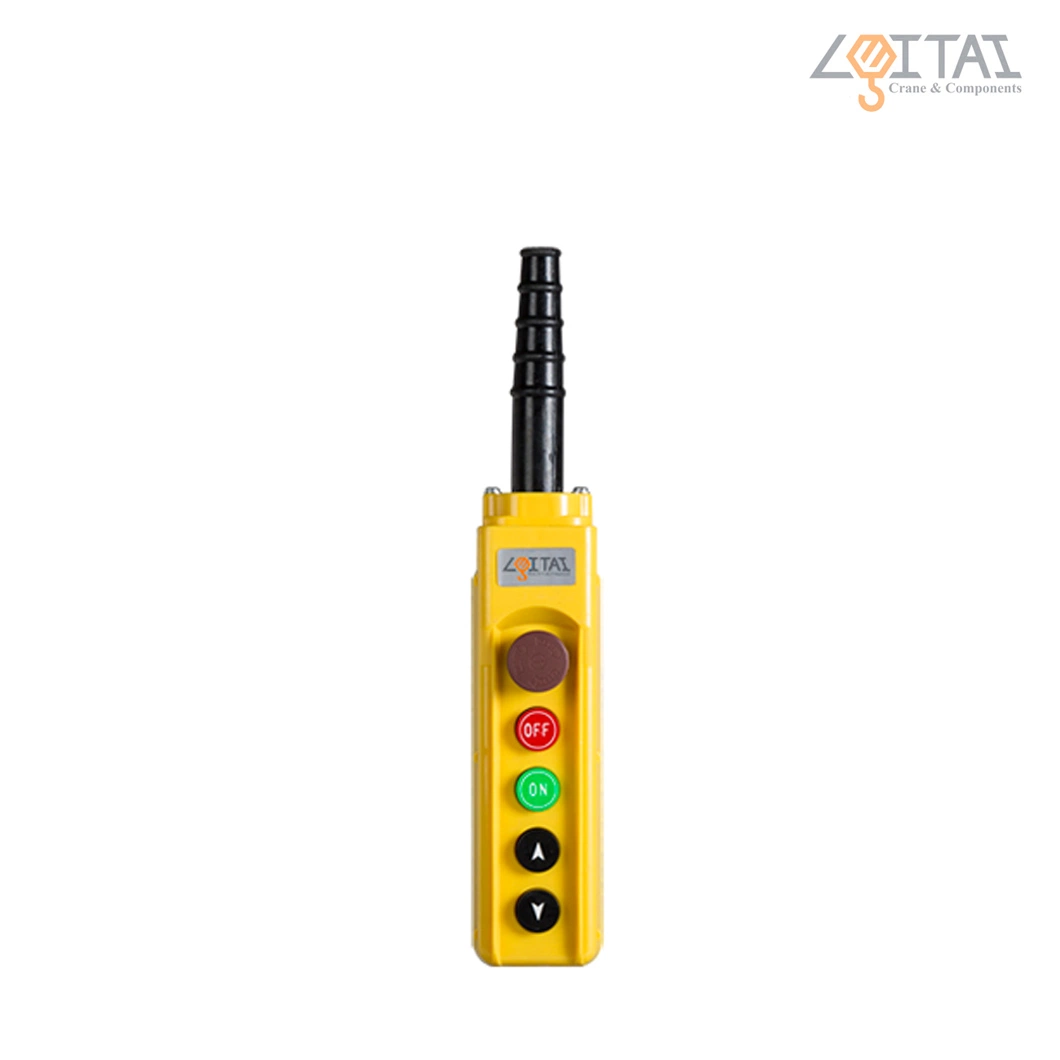 COB-62h Pendant Control with Emergency Button Used in Hoist