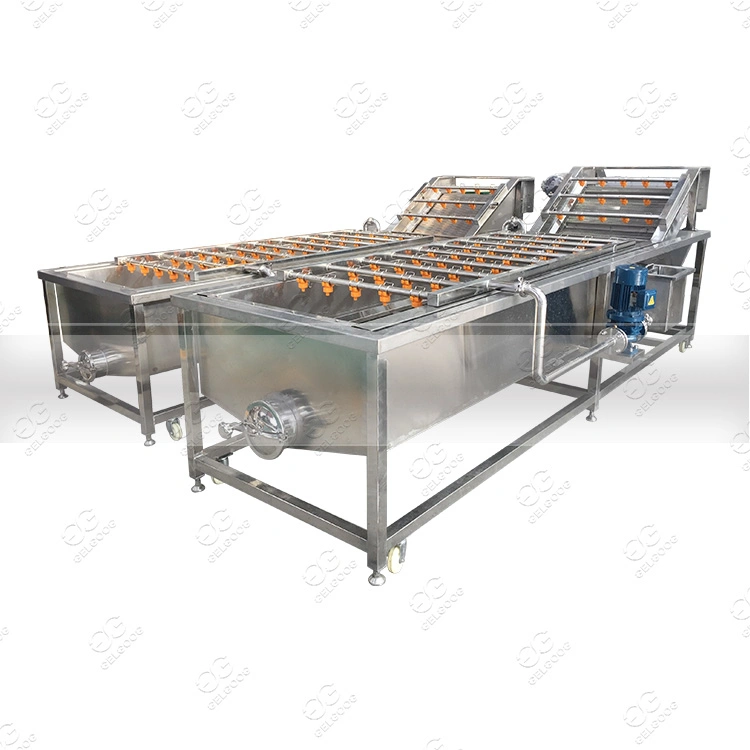 Longan Litchi Rambutan Fruit Washing Drying Line