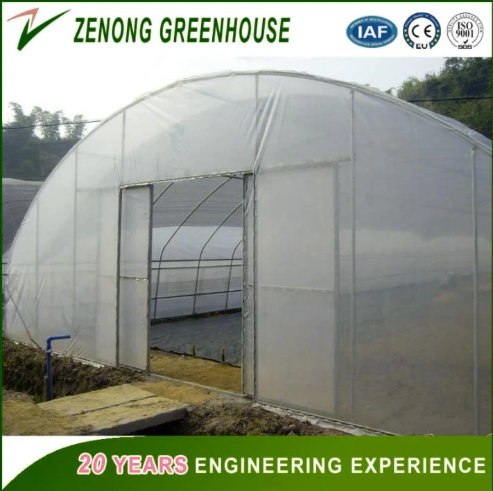 High quality/High cost performance UV Treated Plastic Film Greenhouse for Planting/Farming/Vegetables/Melons/Flowers