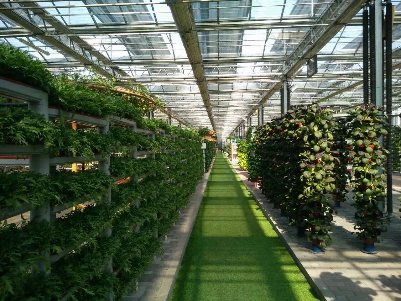 Venlo Glass Greenhouse for Vertical Farming with Top LED Grow Lights