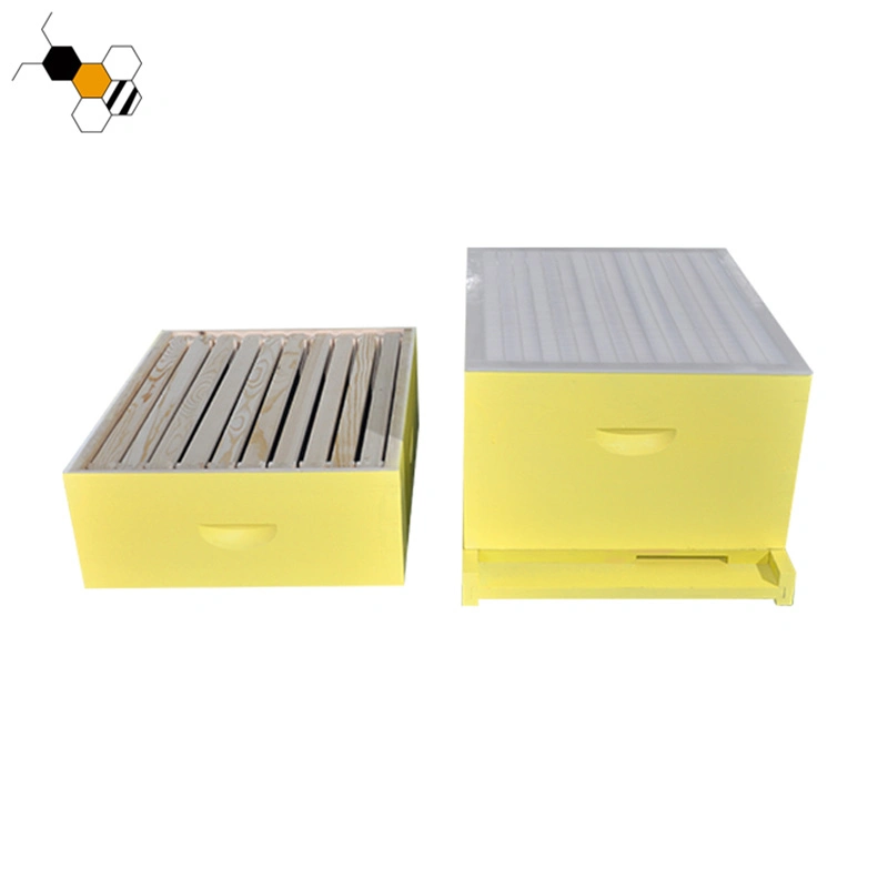 Venta caliente para la venta de colmenas de abejas amarillo miel de abeja colmena Langstroth