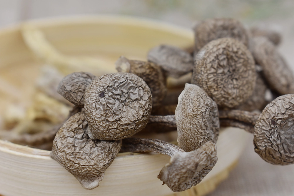 Secado de paquete de personalización de la Salud Alimentaria de setas Antler