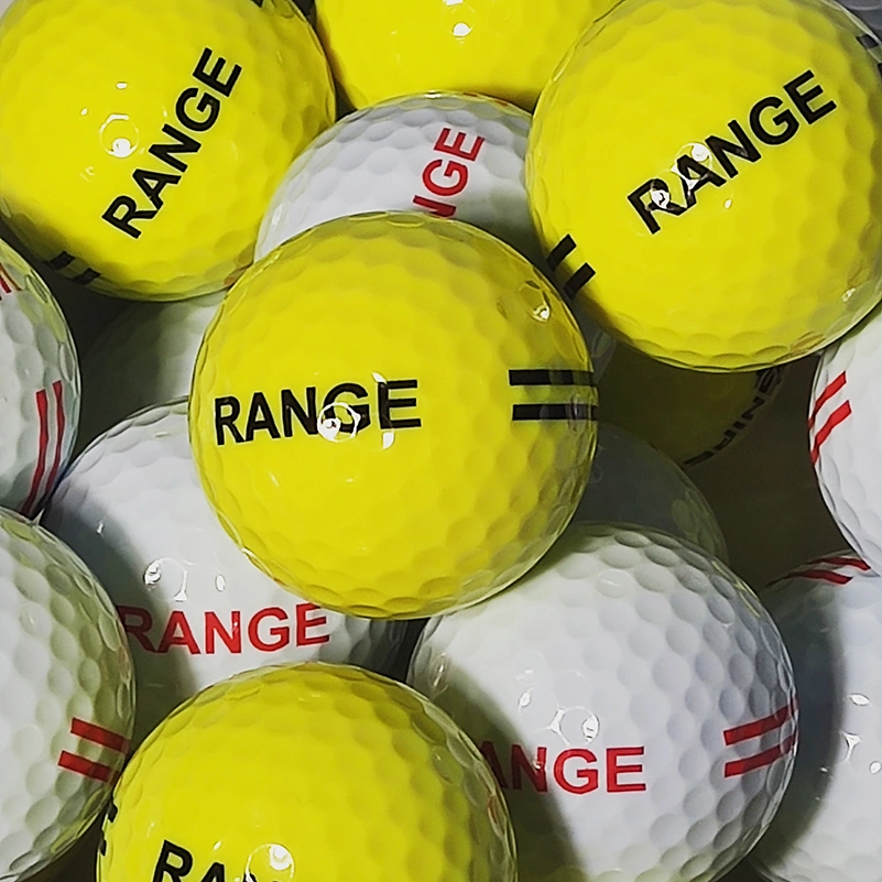 Wholesale/Supplier Bulk 2 Layers Surlyn Cover Training Ball Stable Golf Range Ball