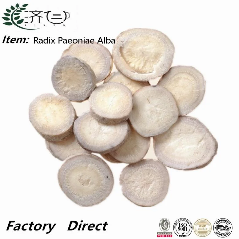 Bai Shao Vente en gros de plantes en vrac Radix Paeoniae Alba White Racine de pivoine