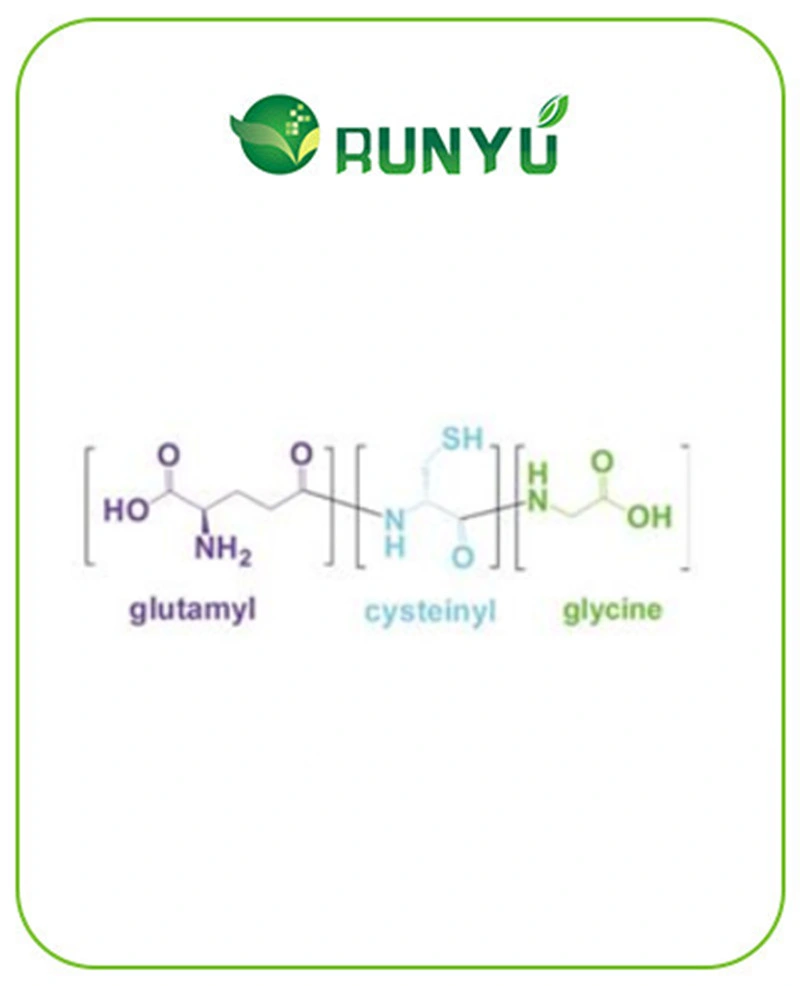 Mejor precio de los alimentos y cosméticos Grado L-glutatión reducido en polvo CAS 70-18-8 G-SH