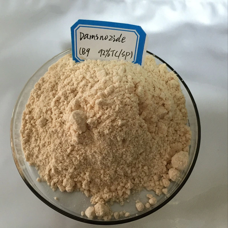 China Wholesale/Supplierr 98%Tc Daminozide Plant Hormones B995 Alar 85 for Sale