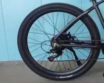 Bicicleta elétrica de 36 V Hidden Battery Mountain 250 W e-bike