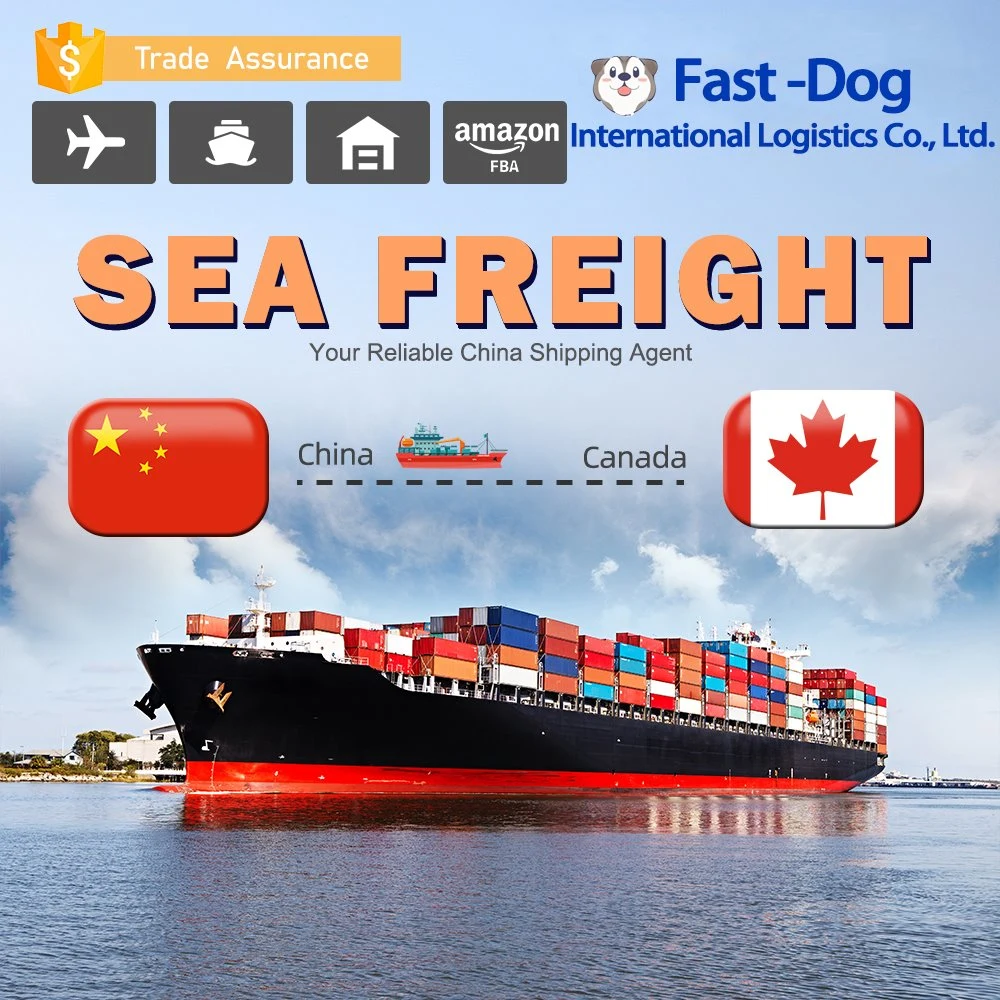 Cheapest Fast Delivery DDP Amazon Fba Sea Shipping Freight Forwarding China to Canada