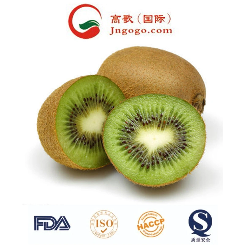 IQF Kiwi Frozen Kiwi Whole IQF New Fresh Kiwi Frozen High quality/High cost performance  Kiwi