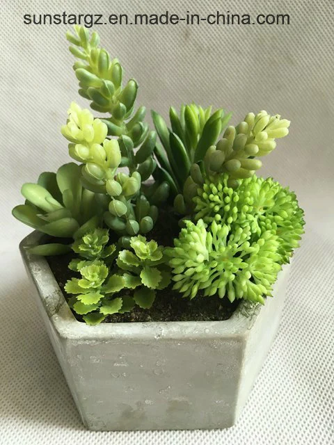 Plastic Flower Artificial Plant PVC Mix Aloe Succulent Mini Bonsai for Home Decoration (50003)