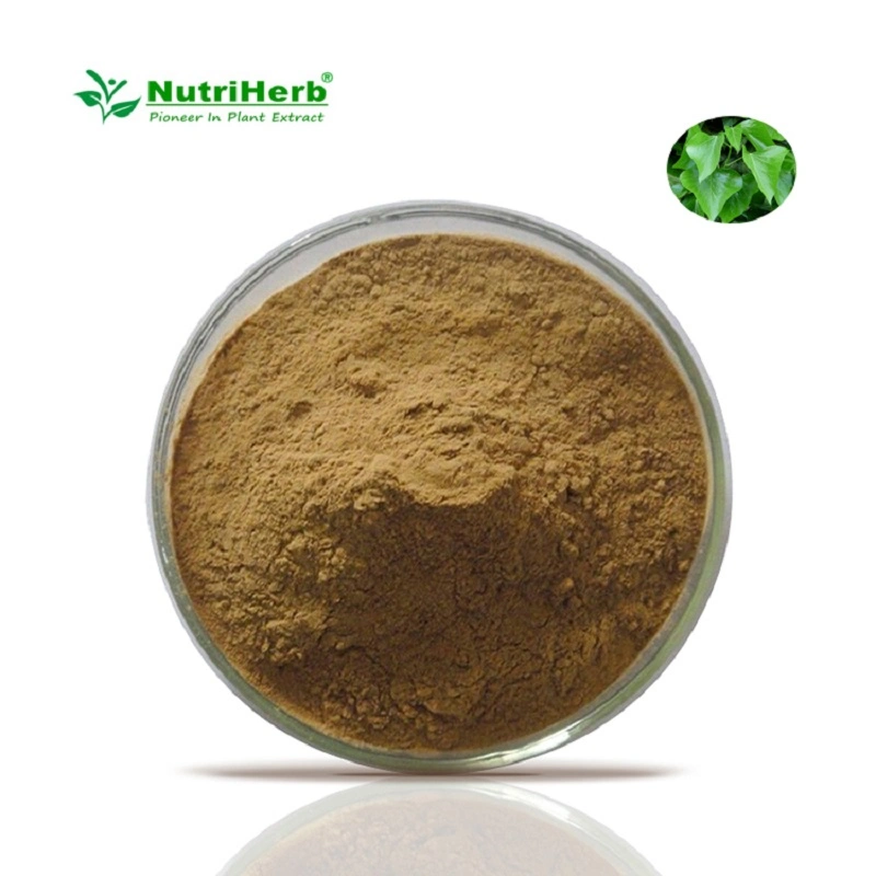 Wholesale/Supplier High quality/High cost performance Natural Hederacoside C Powder 10% IVY Leaf Extract