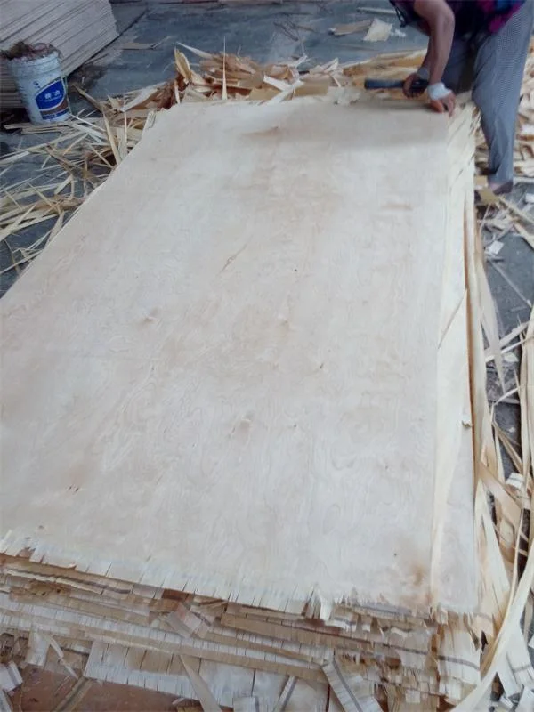 Chinese Factory Board Timber Raw Material Birch Veneer Plywood