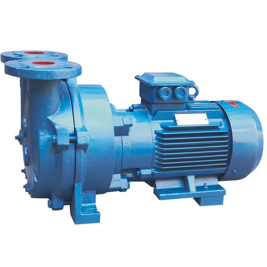 2BV6 Series Liquid Ring Vacuum Pump with Explosion-Proof Motor