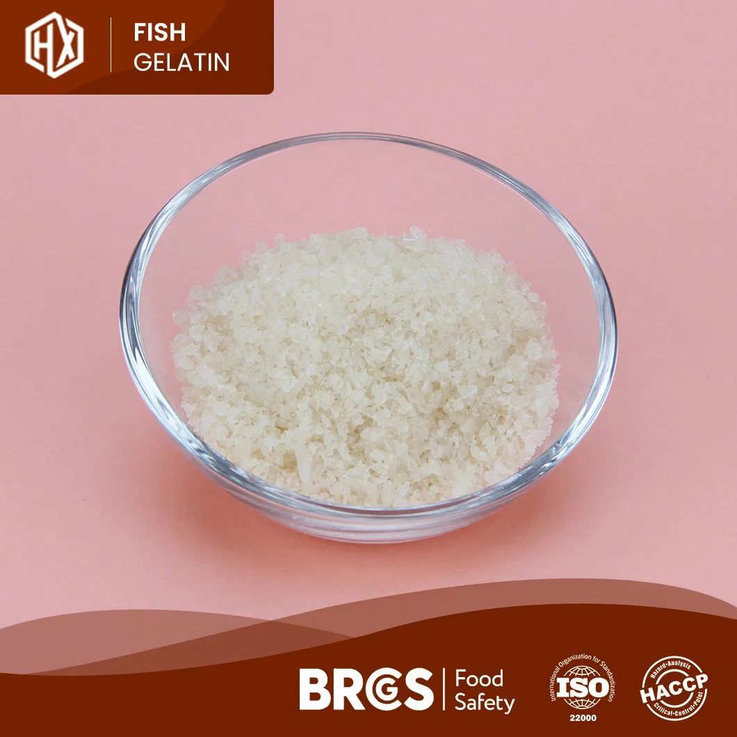 Haoxiang OEM Customized Powdered Cod Fish Skin Gelatin China Pharma Cod Fish Skin Gelatin Manufacturing Functional Food Marine Cod Fish Skin Gelatin