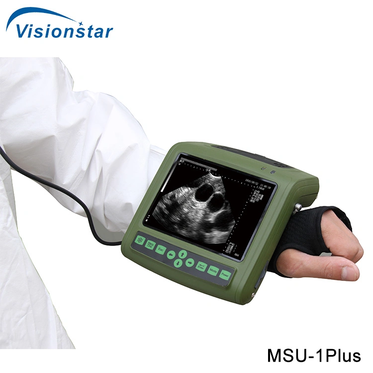 Digital Vet Ultrasound Scanner, Msu-1plus Full-Digital Mechanical Sector Ultrasound Scanner