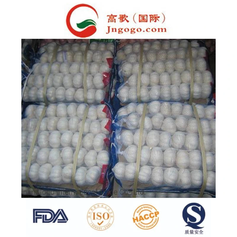 Export Good Quality Fresh Chinese Garlic Fresh Vegetables Fresh Garlic