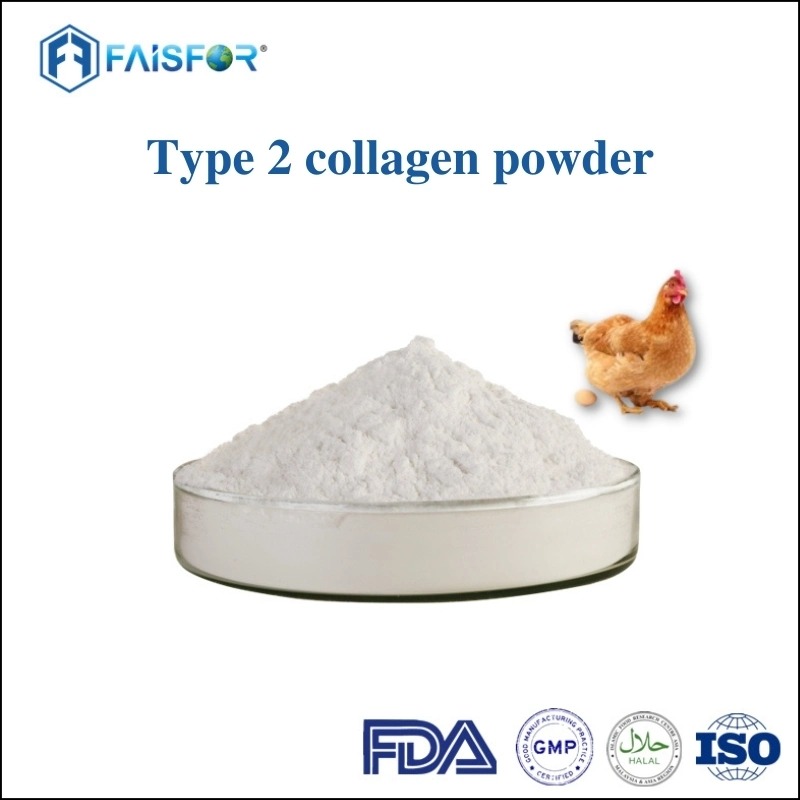 Raw Material Hydrolyzed Collagen Type 2 Chicken Collagen Type II Powder