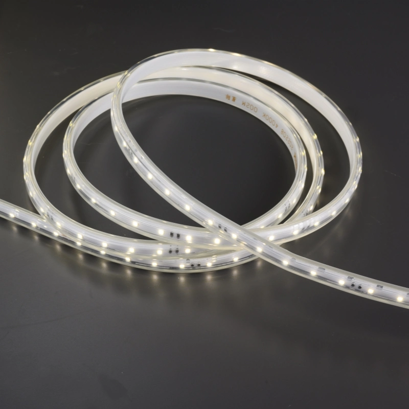 220V Strip SMD2835 60d Flex/Rope Light LED Strip Light