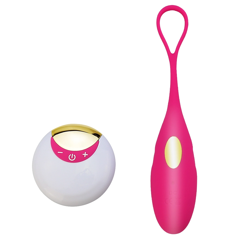 Télécommande Sex Toys Vibrator vagin Mini Bullet vibration Egg Et-SLE-019