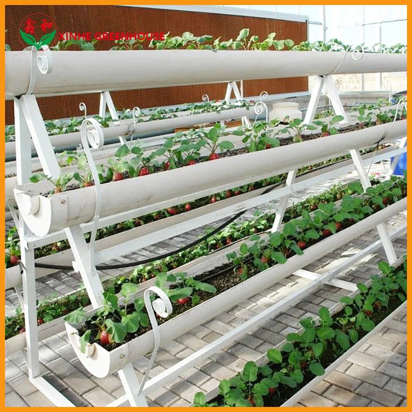 Galvanizado en caliente de la agricultura de invernadero de vidrio para la Flor/verduras creciente