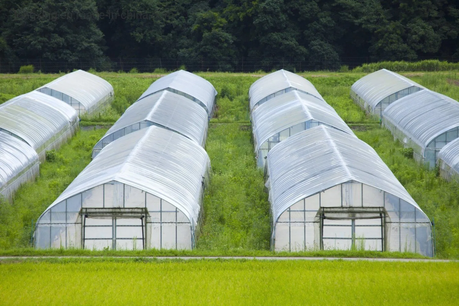 Gewächshaus Folie Kunststoff PE Folie UV-beständig Gartenbau Deckfolie Tunnelfilm