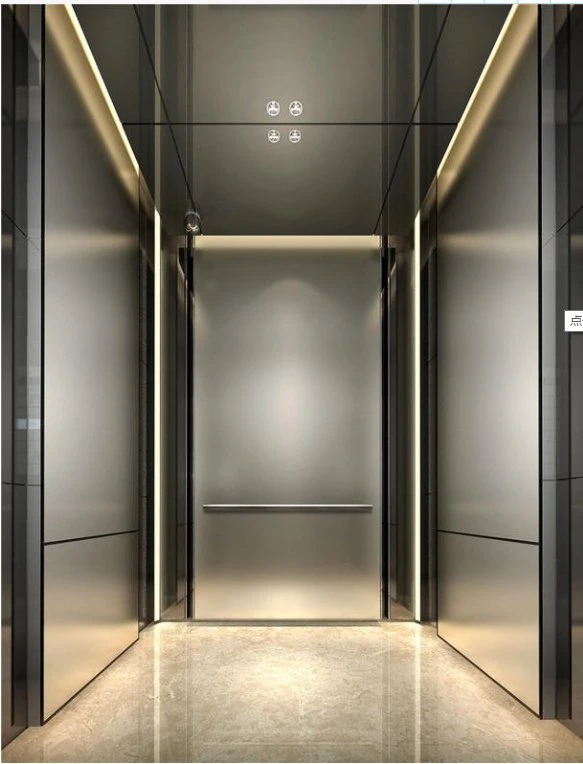 Passenger Lift Indoor Residential Passenger Elevator Home Lift with Steel Structure