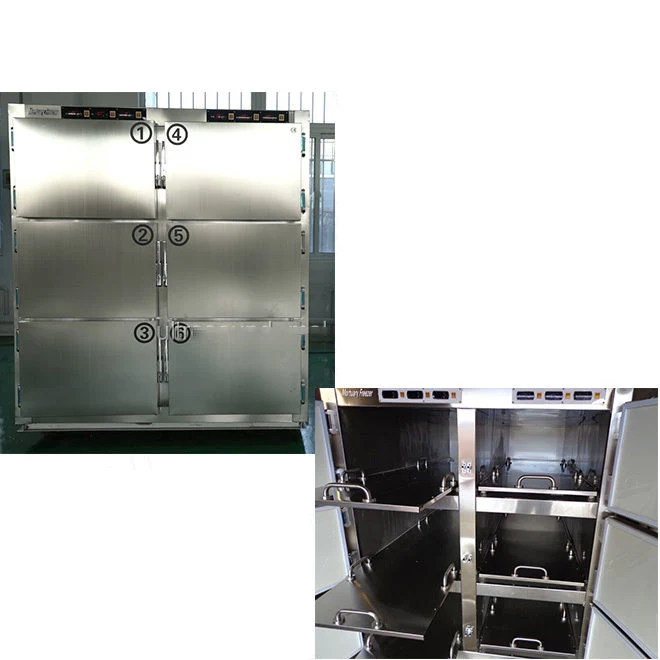 6-Body Mortuary Body Refrigerator, Medical Mortuary Freezer Price