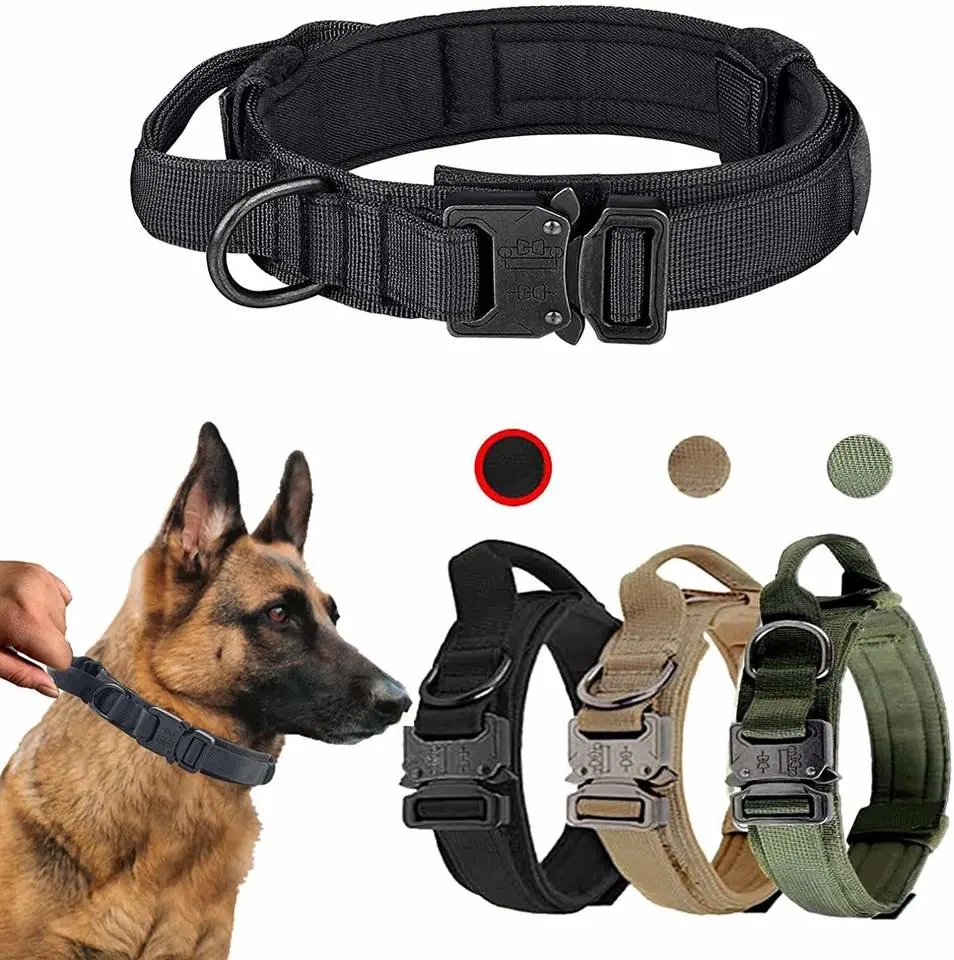 Nylon personnalisé résistant à l'usure réglable harnais d'extérieur entraînement PET tactique chien Collier