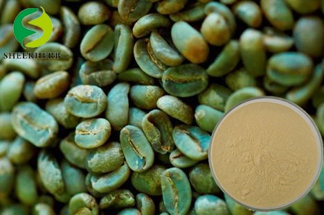 Sheerherb OEM Customized Green Coffee Beans, Pure Natural Freshly Ground Green Coffee Beans 100% High quality/High cost performance Price