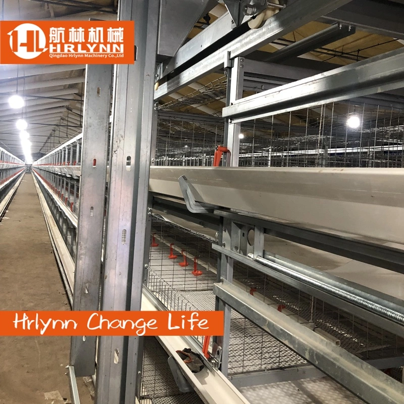 Africa Cheap Price H Type Automatic Battery Broiler Chicken Cage