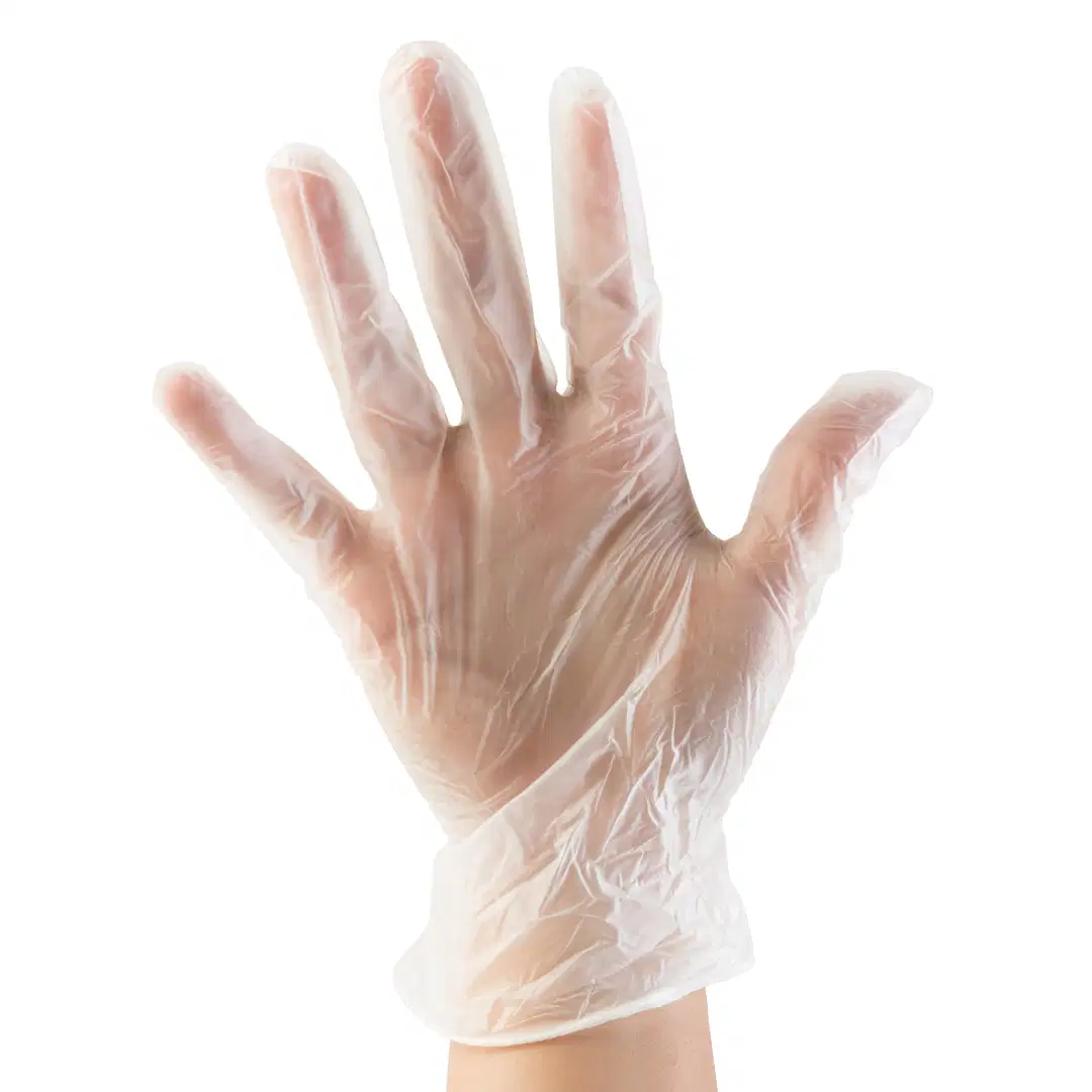 Wholesale/Supplier Disposable Comfortable Vinyl Glove Powder / Powder Free for Beauty Salon/Household L/M/S Size PVC Gloves Civil Use Transparent Highly Flexible