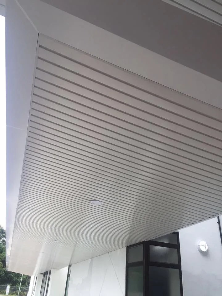 Aluminum Cladding Wall Aluminum Facade Aluminum Wall Panel Aluminum Profile