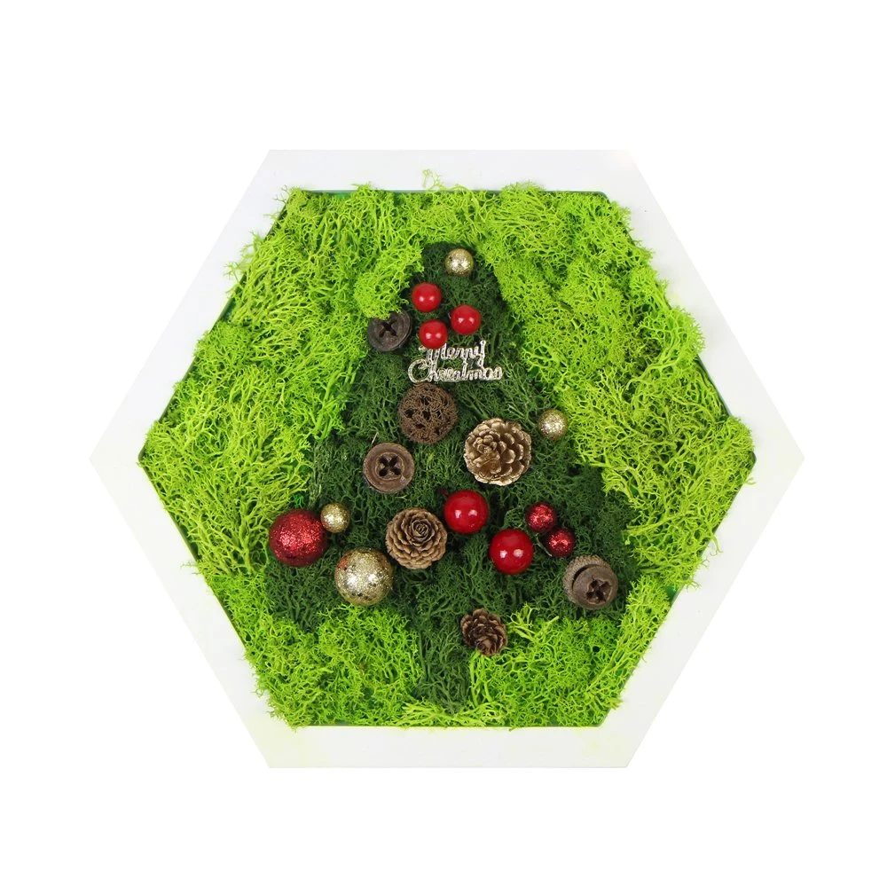 DIY Home Living Room Decoration Handmade Preserved Moss Frame for Christmas