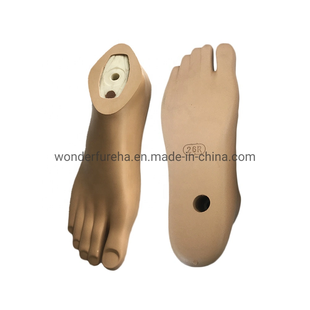 Prosthetic Parts Artificial Foot Artificial Limbs Prosthetic Sach Foot with Plastic Core Prosthetics Foot