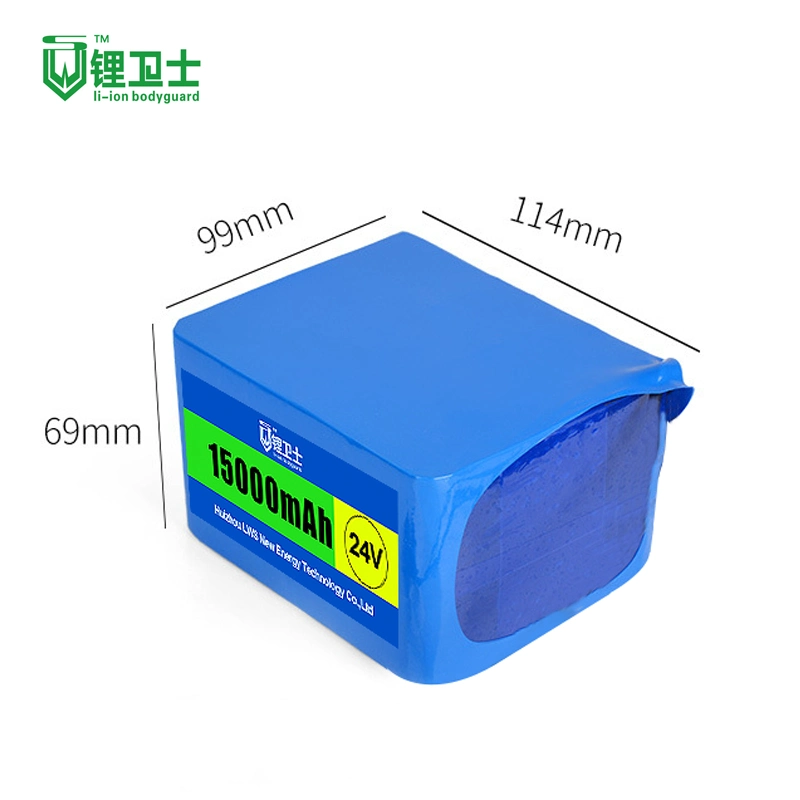 Lws Lithium Iron E-Bike Battery 24V 8s1p 2000mAh Battery Pack