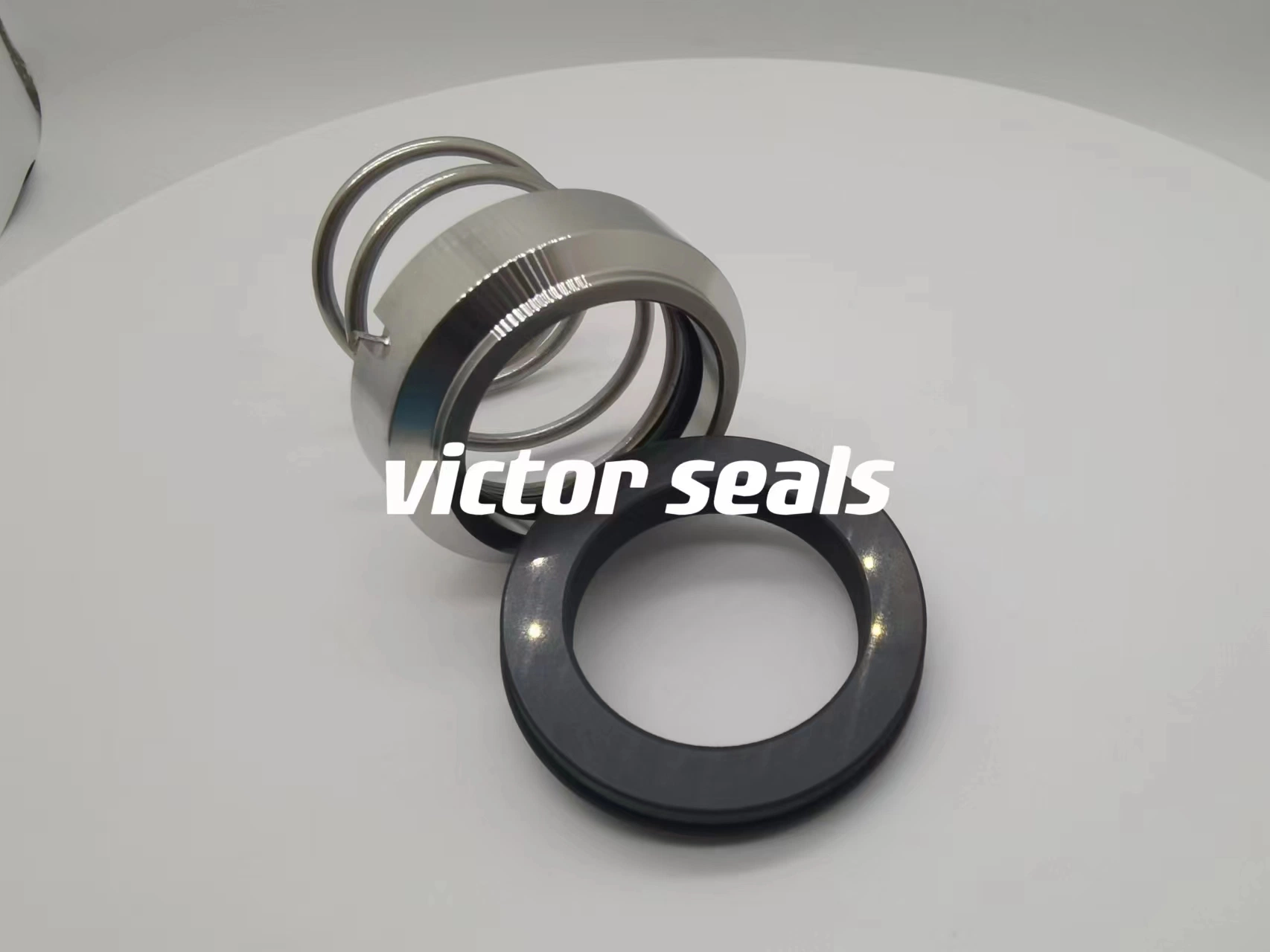 Pump Seal M3n Shaft Seal Carbon Seal Ring 99% Ceramic Stationary Seal Ring G6, G9, G60 Sic Seal Ring