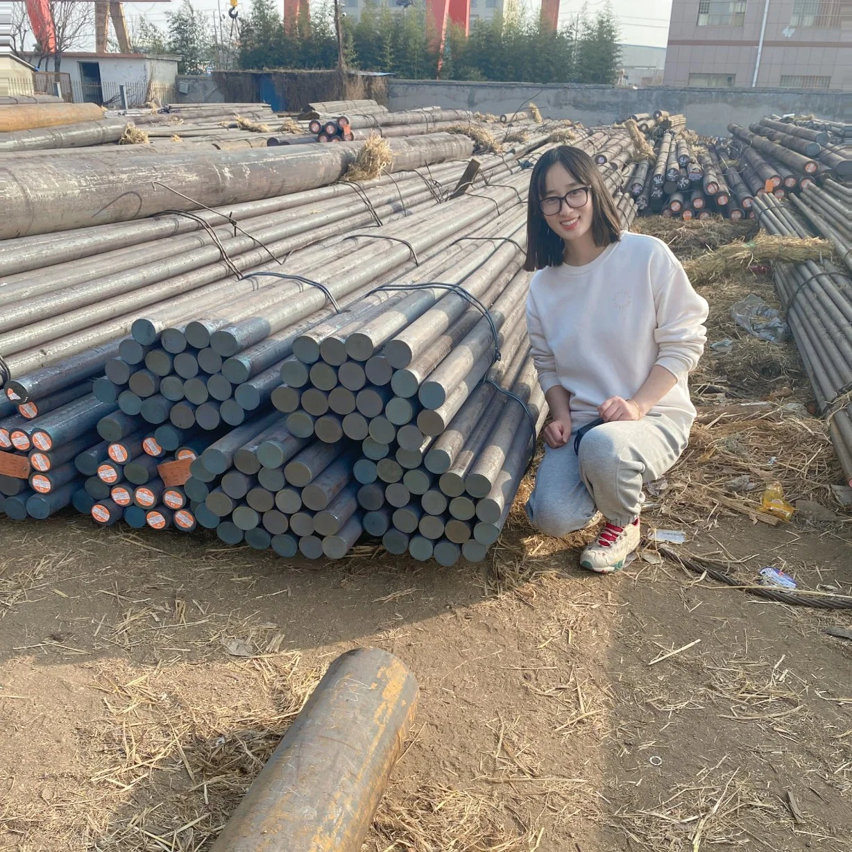 Scm440 42CrMo4 SAE AISI 4140 En19 1.7225 High Tensile Hot Rolled Steel Round Bar Steel Bar