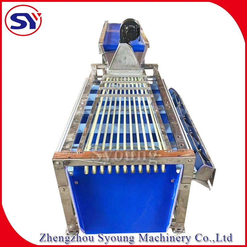 Jujube Date Longan Track Fruit Sorting Grading Machine