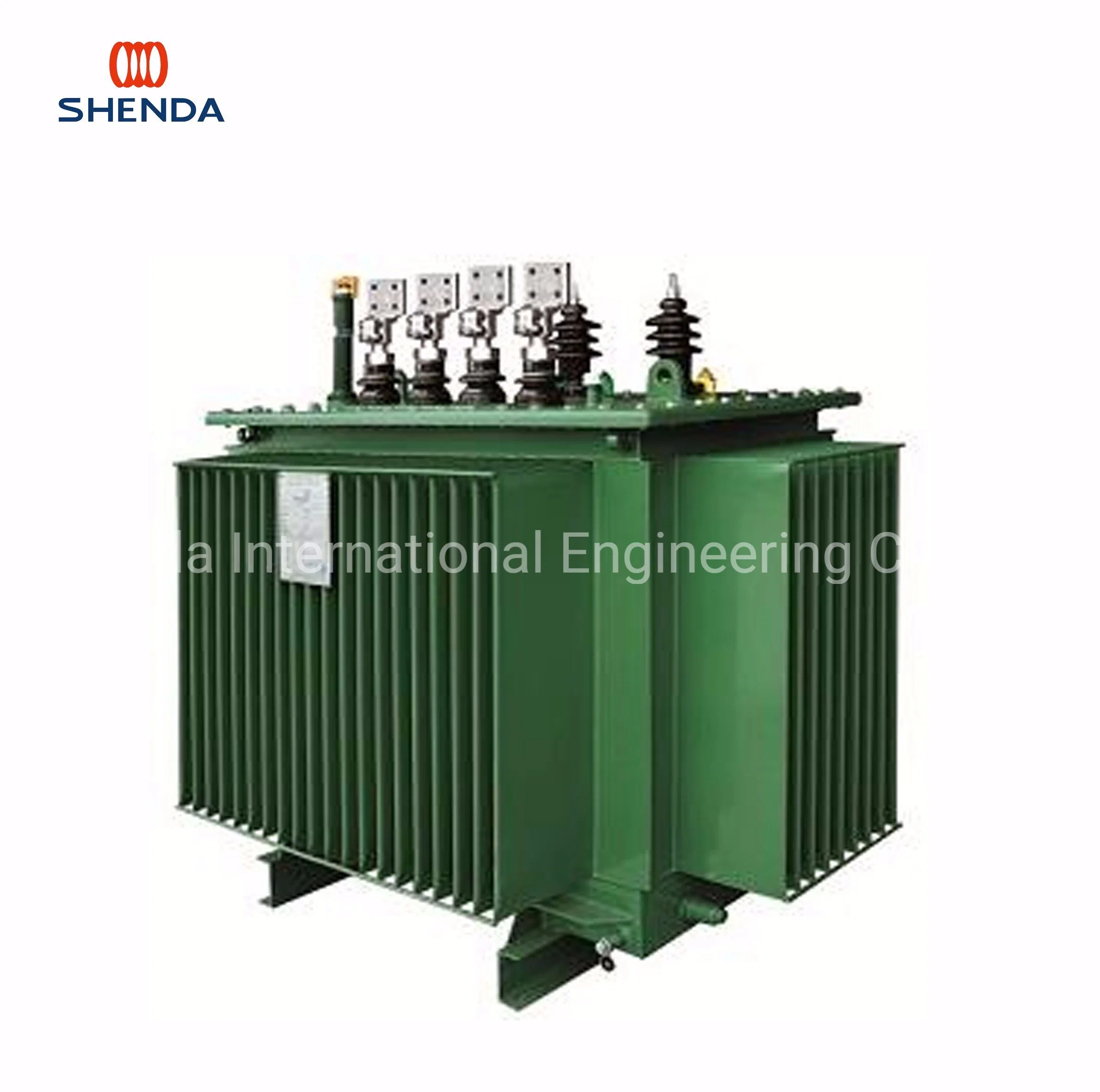 20kv Electric Oil Cooled/Immersed Power Transformer