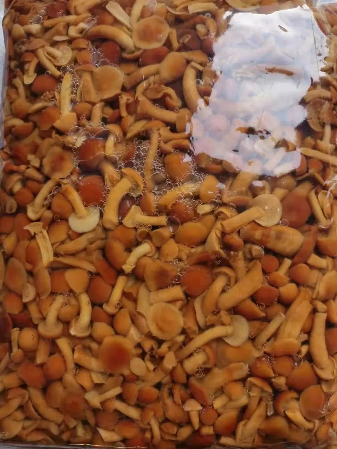 Nameko Mushroom in Brine Packed in Plastic Bag 15kg