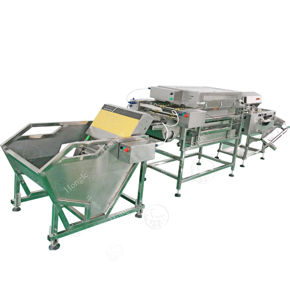 Electric Automatic Eggs Separating Washing Disinfecting Machine Egg Breaking with Cheap Price