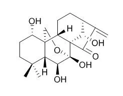 ISO-zertifiziertes Referenzmaterial	98 %	Oridonin	28957-04-2 Standard-Reagenz