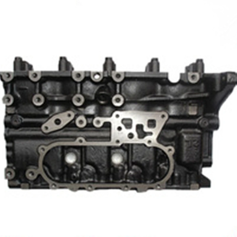 OEM/ODM Lost Foam Casting Cylinder Heads