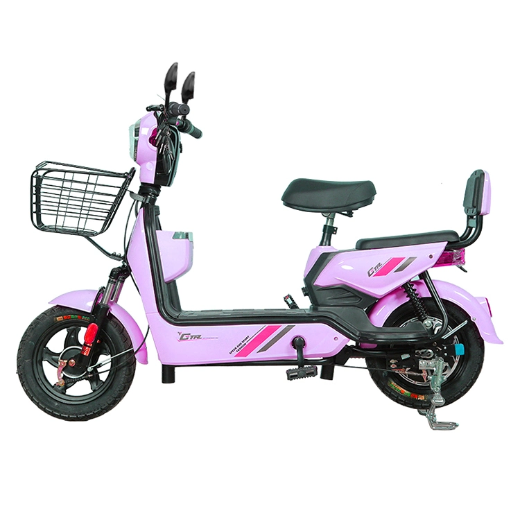 Adult Electric Bike for Sale Original Factory