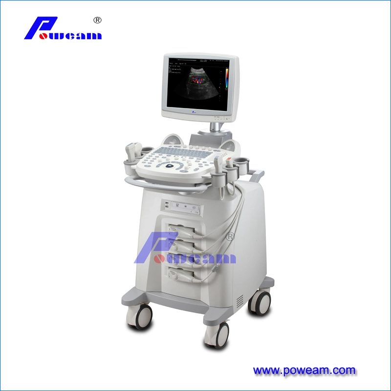 3D Portable Color Doppler Ultrasound Machine Price