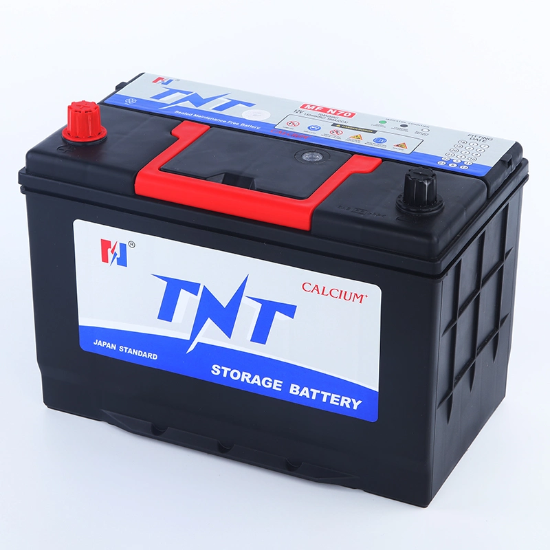 Constant Current CE Approved Largestar Cartons/Pallets Hybrid Car Maintenance Free Battery