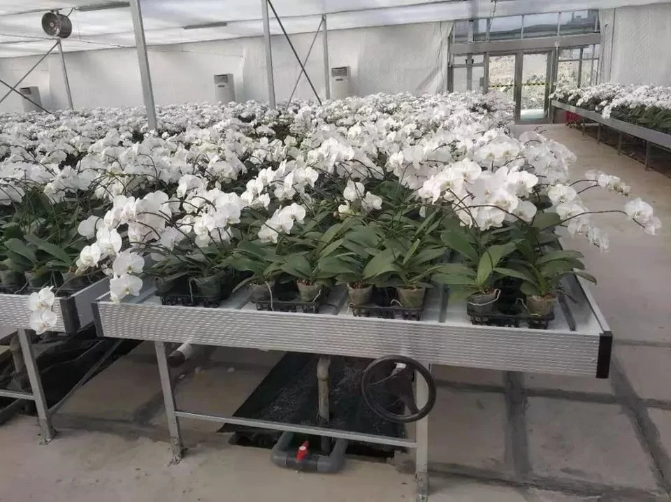 Flower/Green Plant Hot-Dipped Galvanized Iron Wire Green House Farm Facilities Equipment Hydroponics Rolling Bences